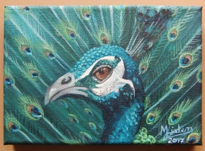 Hand painted tiny canvas of peacock in Oxford, England.