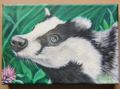 Hand painted tiny canvas of badger in Oxford, England. 