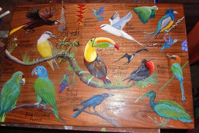 Hand painted  tropical birds on wood  in Bocas del Toro. 