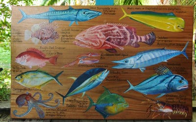 Hand painted tropical fish on wood in Bocas del Toro. 