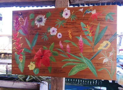 Hand painted tropical flowers on wood in Bocas del Toro.
