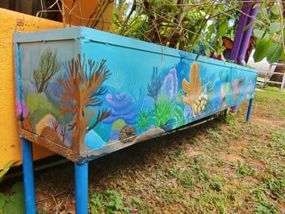 Hand painted planters with coral design in Bocas del Toro.