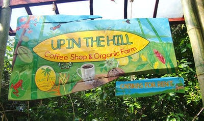 Hand painted sign wih jungle and tropical flowers in Bocas del Toro. 