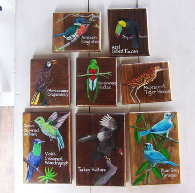 Hand painted tropical birds on wood in Bocas del Toro.